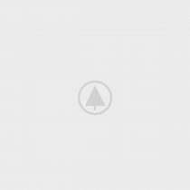 wood-gallery-placeholder-5 wood-gallery-placeholder-5