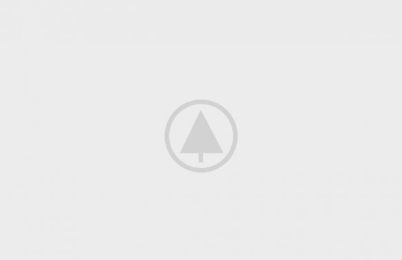 wood-gallery-placeholder-5 wood-gallery-placeholder-5