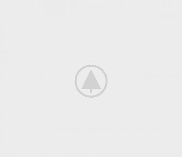 wood-portfolio-placeholder wood-portfolio-placeholder